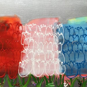 Tulpen veldje "Holland" rood wit blauw